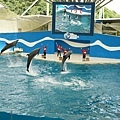 DSC00747.JPG