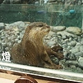 DSC02989.JPG