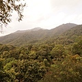 DSC03732.JPG