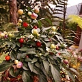 DSC03944.JPG