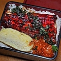 DSC00558.JPG