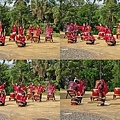 te.jpg