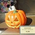 DSC01032.JPG
