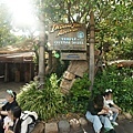 DSC01074.JPG