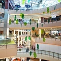 DSC05543.JPG