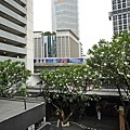 DSC08341.JPG