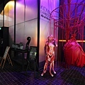 DSC08778.JPG