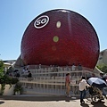 DSC08479.JPG