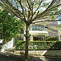 DSC04876.JPG