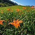 DSC08743.JPG