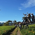 DSC08775.JPG