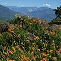 DSC08837.JPG
