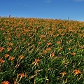 DSC08839.JPG