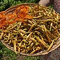 DSC09163.JPG