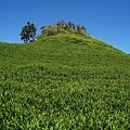 DSC09141.JPG