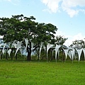 DSC09733.JPG