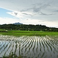 DSC07623.JPG