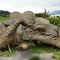 DSC07582.JPG