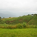 DSC07954.JPG