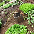 IMG_0582.JPG