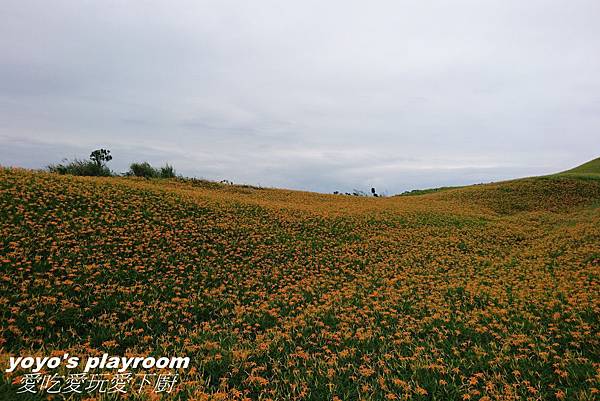 2016花蓮170.jpg