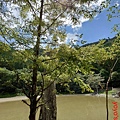 PhotoCap_明池039.jpg