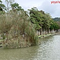 PhotoCap_大湖公園004.jpg