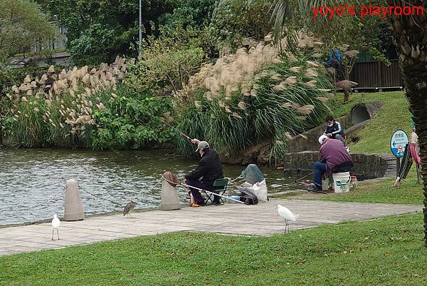 PhotoCap_大湖公園010.jpg