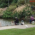 PhotoCap_大湖公園010.jpg