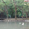 PhotoCap_欣葉027.jpg