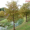 PhotoCap_奇岩028.jpg