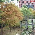 PhotoCap_奇岩042.jpg