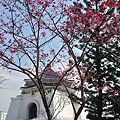 PhotoCap_中正006.jpg