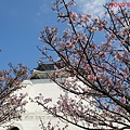 PhotoCap_中正011.jpg