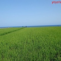 PhotoCap_花蓮123.jpg