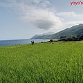 PhotoCap_花蓮131.jpg