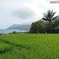 PhotoCap_花蓮136.jpg