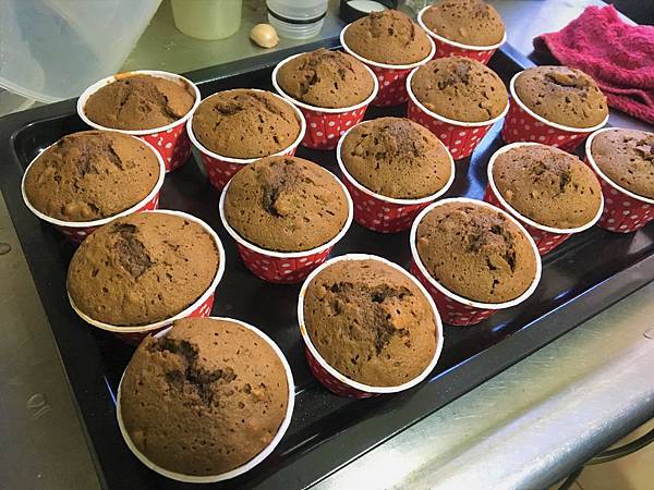 IMG_82541.jpg IMG_82541.jpg