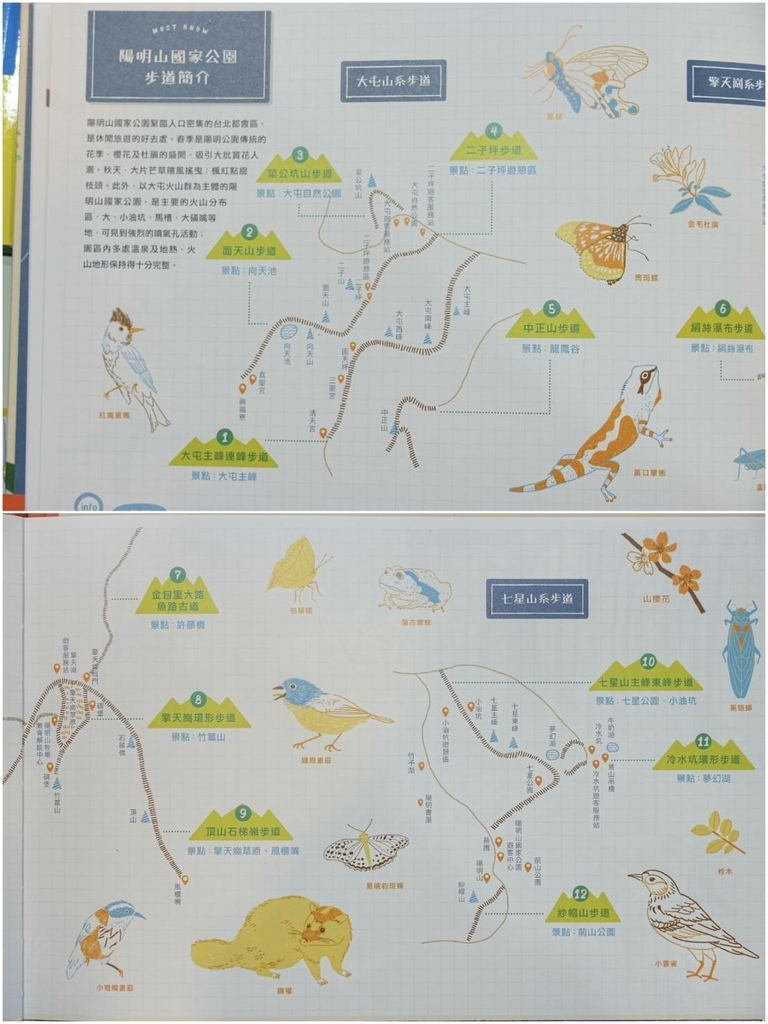 [宜蘭羅東]只到02/18!童書39元起、立體書、操作書、繪
