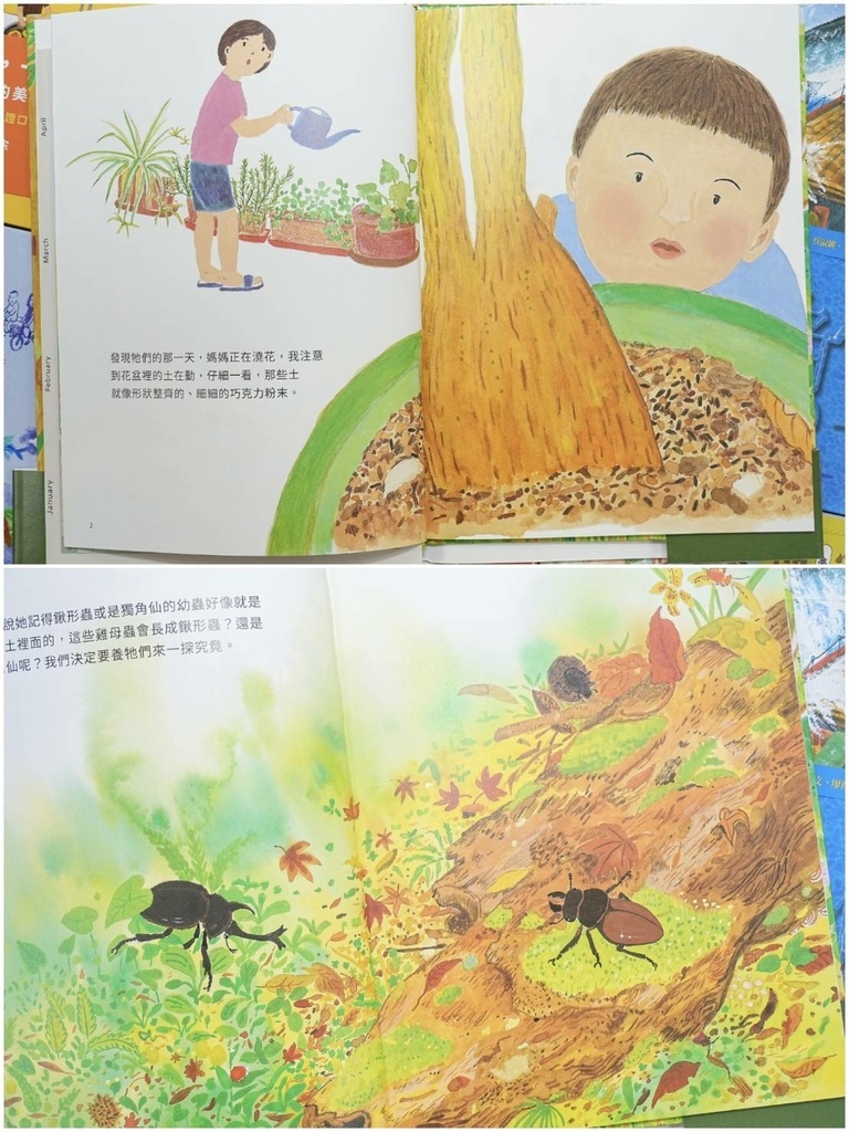 [宜蘭羅東]只到02/18!童書39元起、立體書、操作書、繪