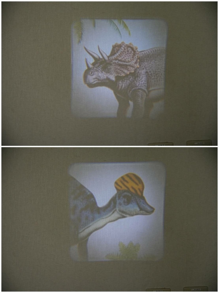 [台北大安]只到10/03!進口原文童書、立體書、操作書、繪