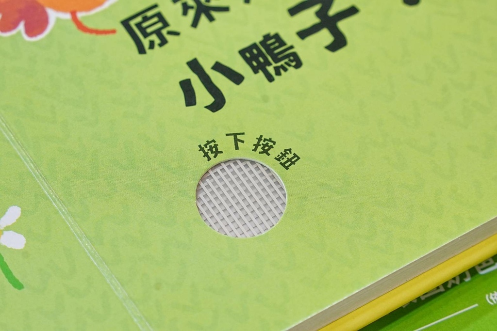 [士林芝山]只到11/05!進口原文童書、立體書、操作書、繪