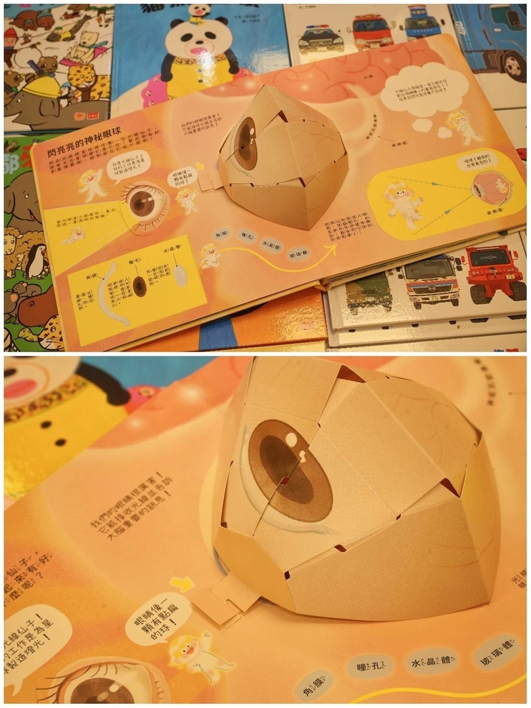 [台中太平]只到06/24!童書39元起、立體書、操作書、繪