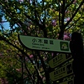 20110305-_DSC0440.jpg