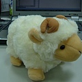 cow & sheep 04.JPG