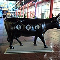 cow 9.jpg