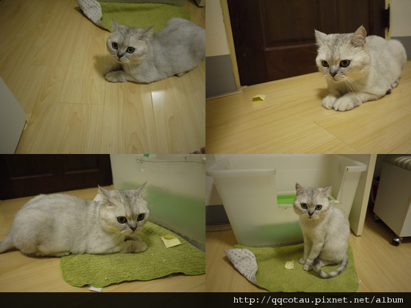 喜歡偷我的便利貼