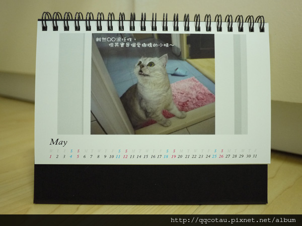 5月