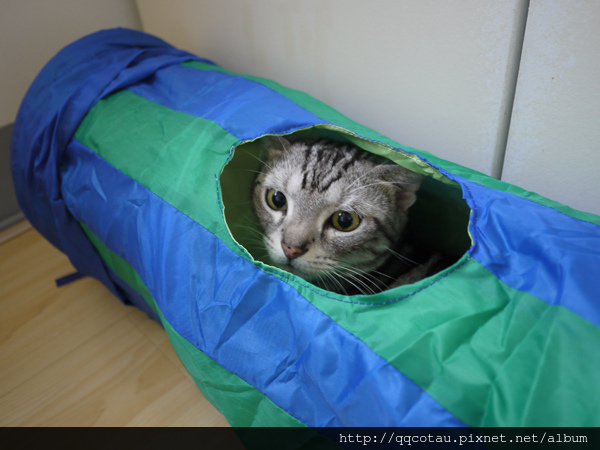 叩逃玩的很害怕～～哈