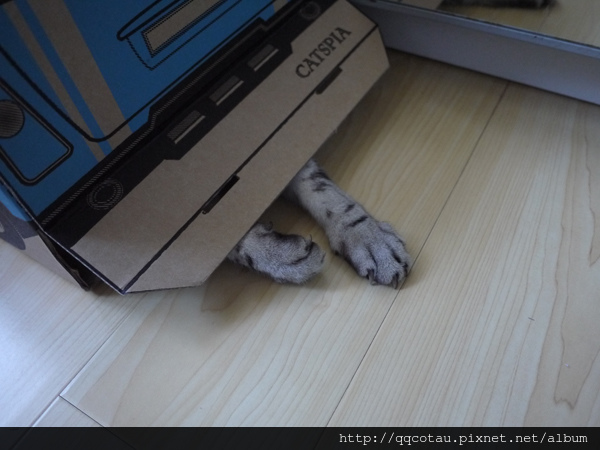 7-1像這樣(我怎麼忽然覺得這隻手有點可怕XD).jpg